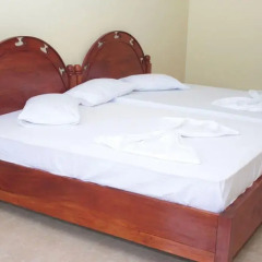 Alsevana Ayurvedic Tourist Hotel & Restaurant Стандартный номер с 2 отдельными кроватями фото 8