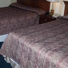 Отель Island Travel Inn Канада, Виктория - отзывы, цены и фото номеров - забронировать отель Island Travel Inn онлайн комната для гостей фото 4