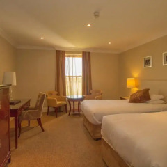 Bunratty Castle Hotel and Angsana Spa 4* Номер Делюкс с 2 отдельными кроватями фото 4