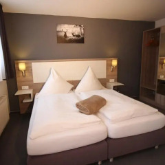 Hotel Restaurant Jägerhof 3* Стандартный номер с различными типами кроватей фото 5