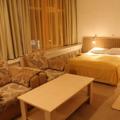Hotel Alabin Central 2* Стандартный номер с различными типами кроватей фото 4
