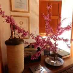 Отель Melenos Lindos Exclusive Suites and Villas интерьер отеля