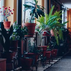 Гостиница Inn RoomComfort интерьер отеля