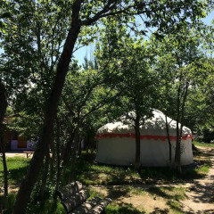 Отель Turkestan Yurt Camp Кыргызстан, Каракол - отзывы, цены и фото номеров - забронировать отель Turkestan Yurt Camp онлайн фото 3