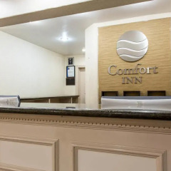 Comfort Inn Palo Alto Stanford University In Palo Alto United