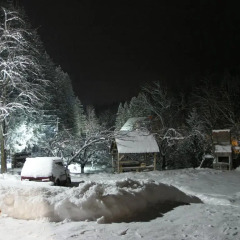 Гостиница Holiday Home Arnika пляж