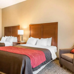 Отель Comfort Inn 2* Стандартный номер с различными типами кроватей фото 3