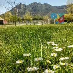 Отель Camping Iratxe Ciudad de Vacaciones детские мероприятия