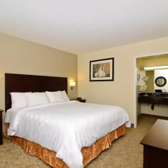 Отель Rodeway Inn Convention Center 2* Стандартный номер с различными типами кроватей фото 5