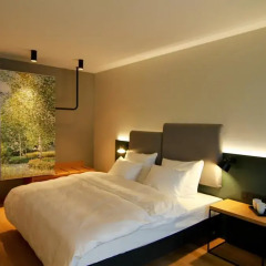 Hotel the YARD 4* Стандартный номер с различными типами кроватей