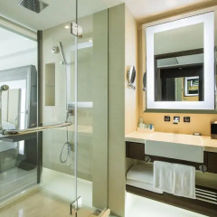 Отель Novotel Nanjing Central Suning 4* Стандартный номер с различными типами кроватей фото 2