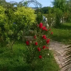 Отель Agriturismo Bassarì Италия, Реканати - отзывы, цены и фото номеров - забронировать отель Agriturismo Bassarì онлайн фото 18