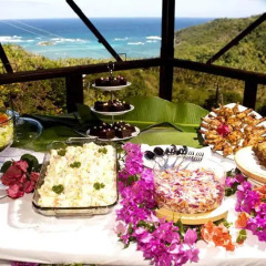 Отель Spring House Bequia