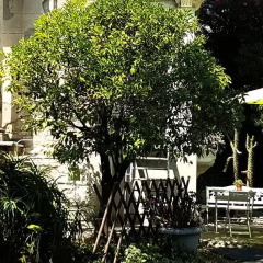 Отель Villa Maryluna Франция, Ницца - отзывы, цены и фото номеров - забронировать отель Villa Maryluna онлайн фото 2