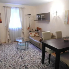 Отель Appartements Steingasse Австрия, Зальцбург - отзывы, цены и фото номеров - забронировать отель Appartements Steingasse онлайн комната для гостей фото 5
