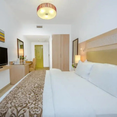 Toledo Hotel 4* Стандартный номер с различными типами кроватей фото 7