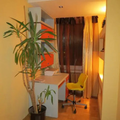 Отель The Lotus Guest House удобства в номере фото 2