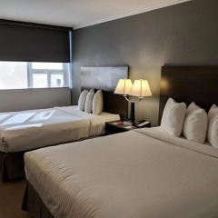 Отель Econo Lodge South Calgary Канада, Калгари - отзывы, цены и фото номеров - забронировать отель Econo Lodge South Calgary онлайн комната для гостей фото 3