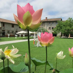 Отель Agriturismo il Vagabondo Буттрио фото 7