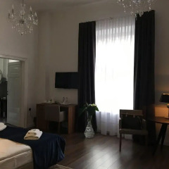 Hotel Fortuna 3* Номер Делюкс с различными типами кроватей фото 6