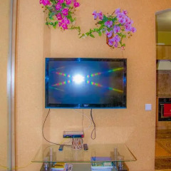 Гостиница Safari Apartament в Барнауле отзывы, цены и фото номеров - забронировать гостиницу Safari Apartament онлайн Барнаул фитнесс-зал