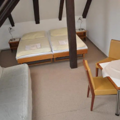 Hotel Svornost 3* Номер категории Эконом с различными типами кроватей фото 6