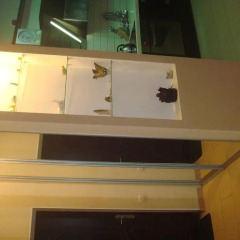 Гостиница VIP Apartments in Arkadiya Украина, Одесса - отзывы, цены и фото номеров - забронировать гостиницу VIP Apartments in Arkadiya онлайн удобства в номере фото 2