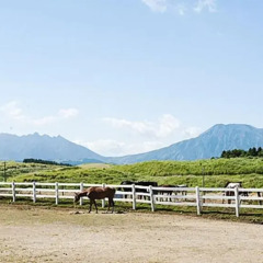 Отель El Patio Ranch Минамиогуни пляж