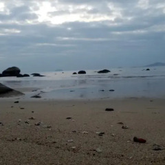 Отель Xiamen Haiben Guoshu Сямынь пляж