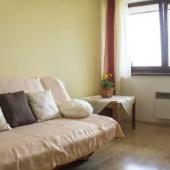 Апартаменты Paris Apartment Visitzakopane Закопане комната для гостей фото 5