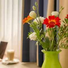Hotel Novalis Dresden балкон