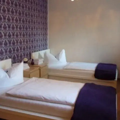 Hotel & Hostel Hallbergerhof Апартаменты с различными типами кроватей фото 3