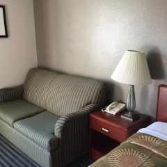 Отель Buena Vista Motor Inn комната для гостей фото 5