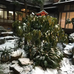 Отель Japanese Ryokan Kashima Honkan Фукуока фото 10