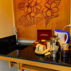 Отель Sau Bay Fiji Retreat - off Taveuni удобства в номере