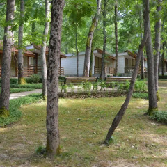 Отель Villas Ropotamo Maisonette Болгария, Приморско - отзывы, цены и фото номеров - забронировать отель Villas Ropotamo Maisonette онлайн фото 5