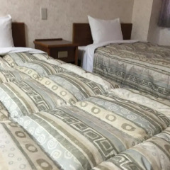 Shinseto Station Hotel 2* Стандартный номер фото 2
