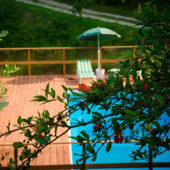 Отель Albero del Kiri B&B Каваньола с домашними животными