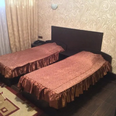Гостиница Державин 3* Номер Эконом разные типы кроватей фото 2