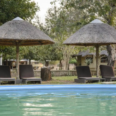 Отель Montebelo Gorongosa Lodge & Safari бассейн фото 2