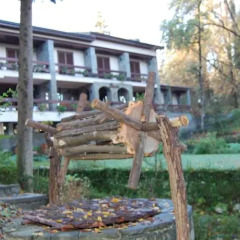 Отель Restaurant Dreri Албания, Тирана - отзывы, цены и фото номеров - забронировать отель Restaurant Dreri онлайн фото 15