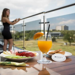 Plaza Hotel в номере