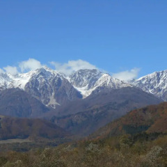 Отель Pension Hayaokidori Хакуба фото 4