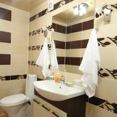 VIP-Hotel 4* Полулюкс с разными типами кроватей фото 22