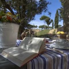 Отель Podere Il Castellaccio Кастаньето-Кардуччи питание