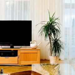 Отель Aparthotel Münzgasse Германия, Дрезден - 3 отзыва об отеле, цены и фото номеров - забронировать отель Aparthotel Münzgasse онлайн интерьер отеля фото 3