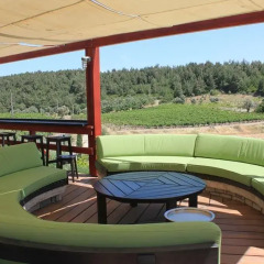 Urla Bagevi Boutique Hotel - Special Class Стандартный номер фото 7