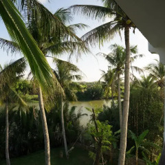 Отель Hoi An Waterway Resort 3* Люкс с различными типами кроватей фото 5