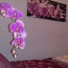 Отель B&B Interno 8 интерьер отеля фото 3