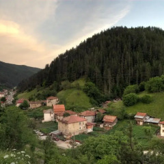 Отель Dragneva Guest House Болгария, Чепеларе - отзывы, цены и фото номеров - забронировать отель Dragneva Guest House онлайн фото 3
